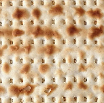 JewBelong Interactive Haggadah